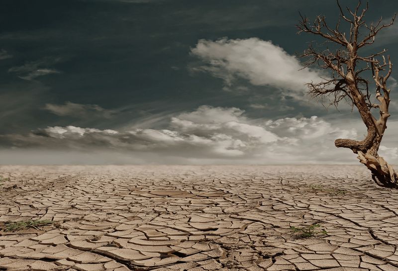 File:Desert-drought-dehydrated-clay-soil-60013.jpeg