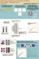 Thumbnail for version as of 11:33, 21 May 2025