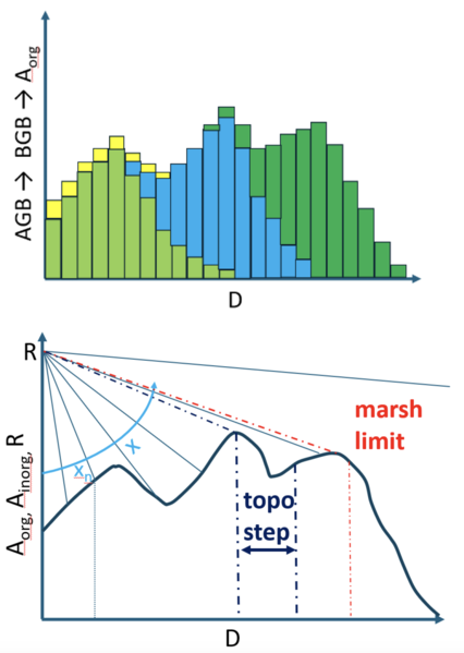 File:Marsh Fig.png