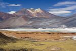 Thumbnail for File:Miscanti Lagoon near San Pedro de Atacama Chile Luca Galuzzi 2006.jpg