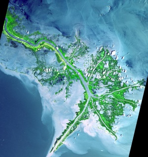 Mississippi Delta Satellite.jpg