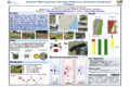 Thumbnail for version as of 07:18, 27 May 2025
