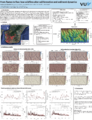 Thumbnail for version as of 08:12, 25 May 2025