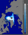 Sea Ice Concentration.png