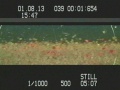 Thumbnail for version as of 11:45, 18 August 2010